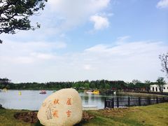 -上海长兴岛郊野公园