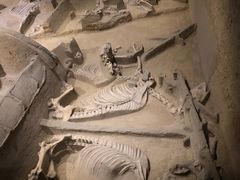 -洛阳周王城天子驾六博物馆