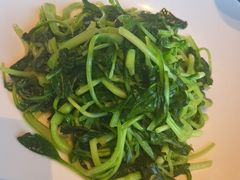 清炒红薯叶-湖里春风·淮扬菜(丽泽天街店)