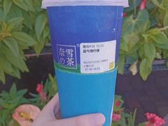-奈雪的茶(大梅沙8号仓店)