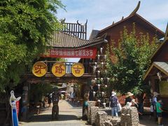 -呀路古热带植物园