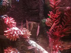 -沈阳海洋探索中心