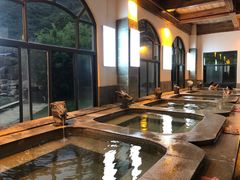 -乳源丽宫国际温泉酒店