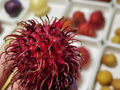 -涨巢·潮玩水疗局