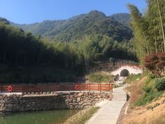 -龙坞茶村