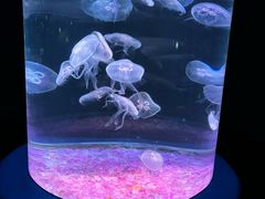 -欢乐海岸海洋奇梦馆