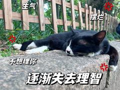 -西园寺
