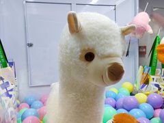 -涨巢·潮玩水疗局