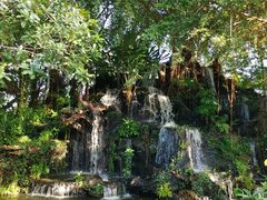 -绿光森林餐厅