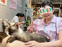 -Heymao猫咖.咖啡厅(东门店)