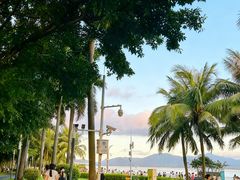 -若蘭慈·无国界素食料理(欢乐海岸店)