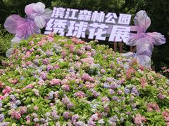 -上海滨江森林公园
