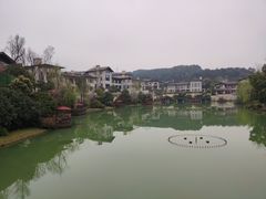 -铁山坪森林公园