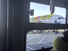 -上海浦东国际机场-T2航站楼