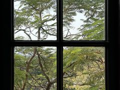 -荔湾博物馆
