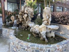 -呼吸森林·生态农庄农家乐私房菜