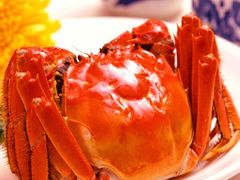 -鑫汇海鲜火锅(蓟州店)