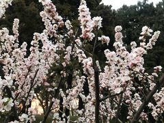-钓鱼台国宾馆