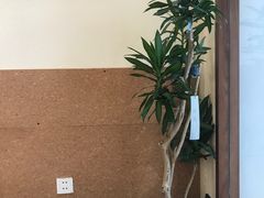 -Radar Coffee(思南路店)