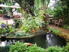 -Fern Forest Cafe