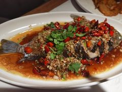 -杨氏青龙虾·羊蝎子(金盛路总店)
