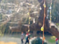 -苏州河梦清园环保主题公园