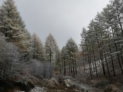 -塞罕坝国家级自然保护区