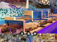 -乔哥铭洋海鲜自助(皇城恒隆广场店)