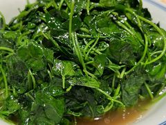酒香金花菜-新梅华餐厅(星悦汇店)