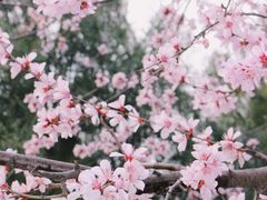 -山东大学(洪家楼校区)