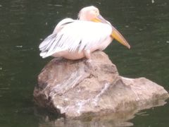 -昆明动物园