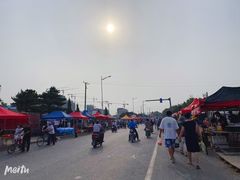 -蒲河大集