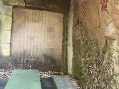 -南山植物园