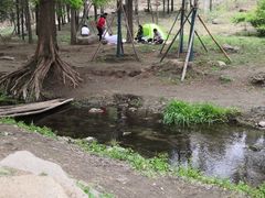 -白水寺森林公园