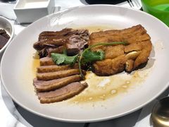 -MR鹅外