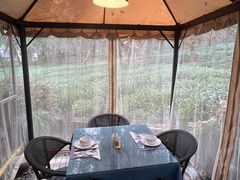 -野蔓果·山野菜(西湖景区·龙井茶田店)