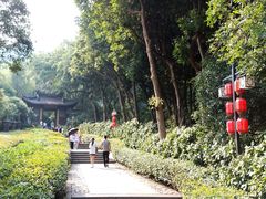 -灵隐飞来峰景区