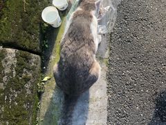 -四川大学(华西校区)