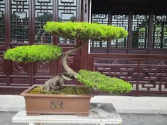 -泰州凤城河风景区-泰山公园