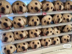 -仁信双皮奶(东川路店)