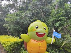 -广东惠东海龟国家级自然保护区