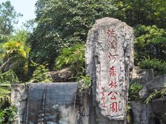 -广州市流溪河国家森林公园