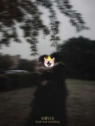 -帆拉斐婚纱摄影(春熙店)