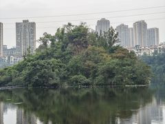-重庆彩云湖湿地公园