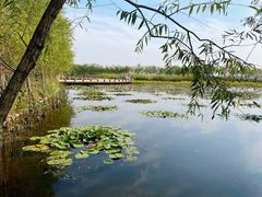 -绿堤公园