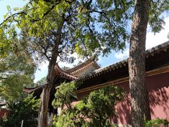 -建水文庙