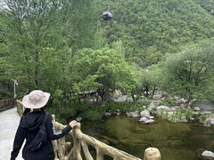 -洛阳白云山景区