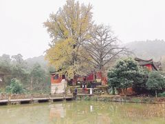 -佛荫寺