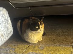 -便利蜂(广安门内大街319号店)