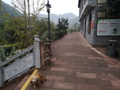 -楠柏弯休闲山庄(梨花溪店)